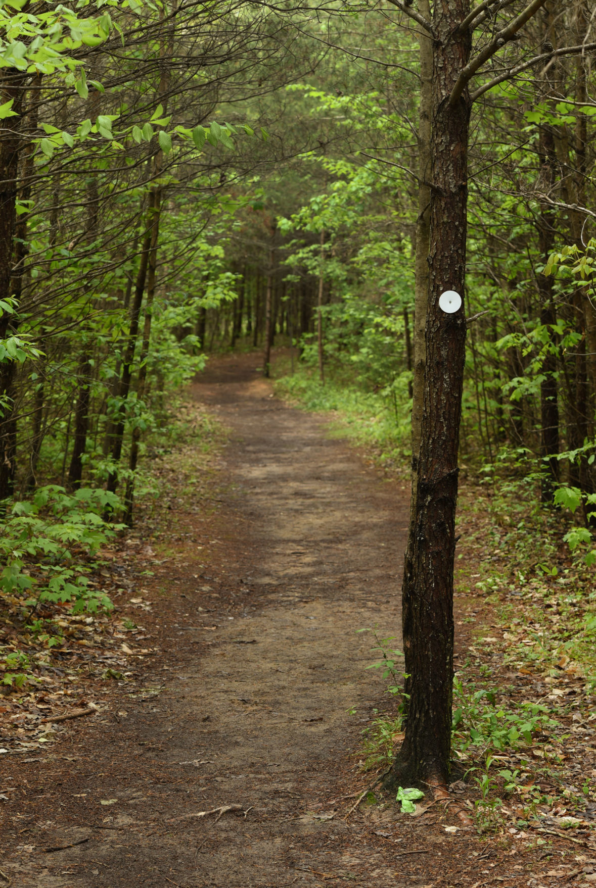 Cascades Preserve